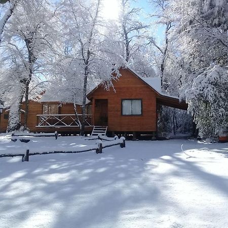 Cabanas Bafemadi Las Trancas Exteriör bild