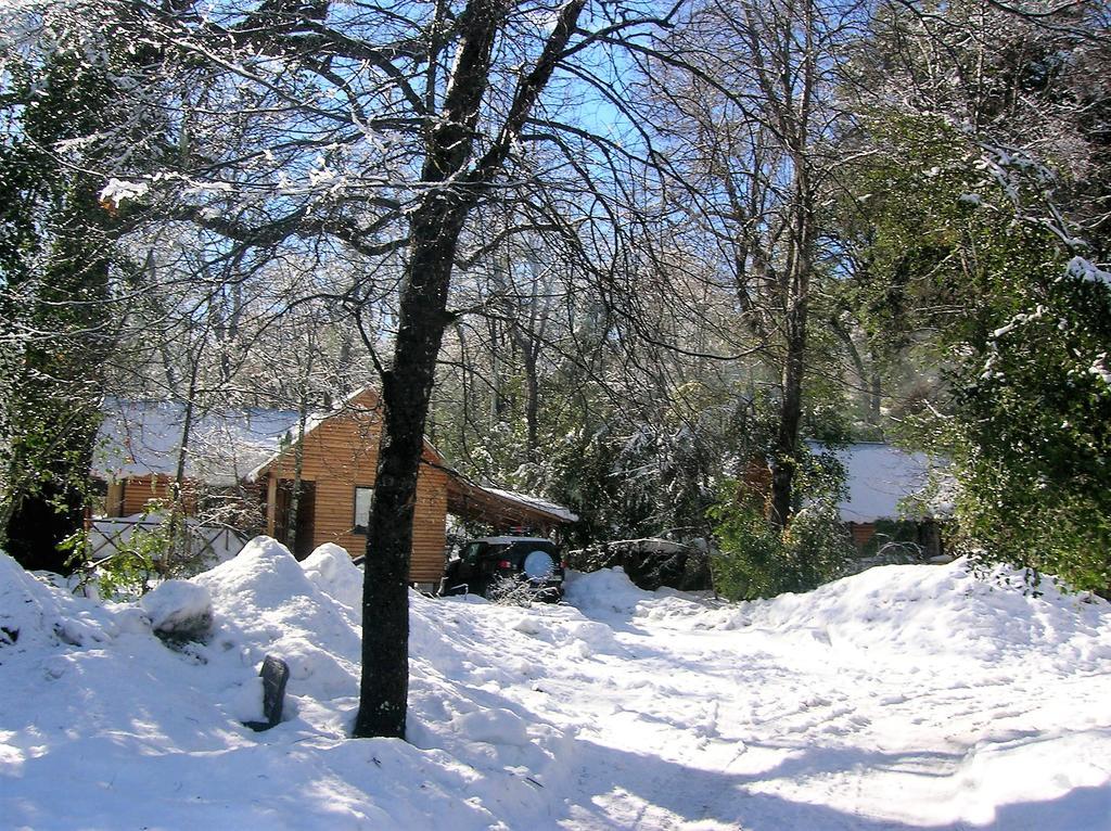 Cabanas Bafemadi Las Trancas Exteriör bild