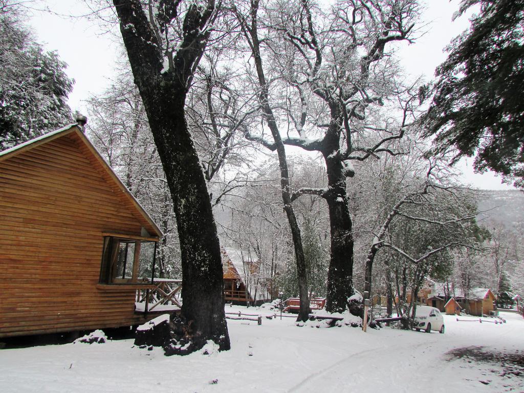 Cabanas Bafemadi Las Trancas Exteriör bild