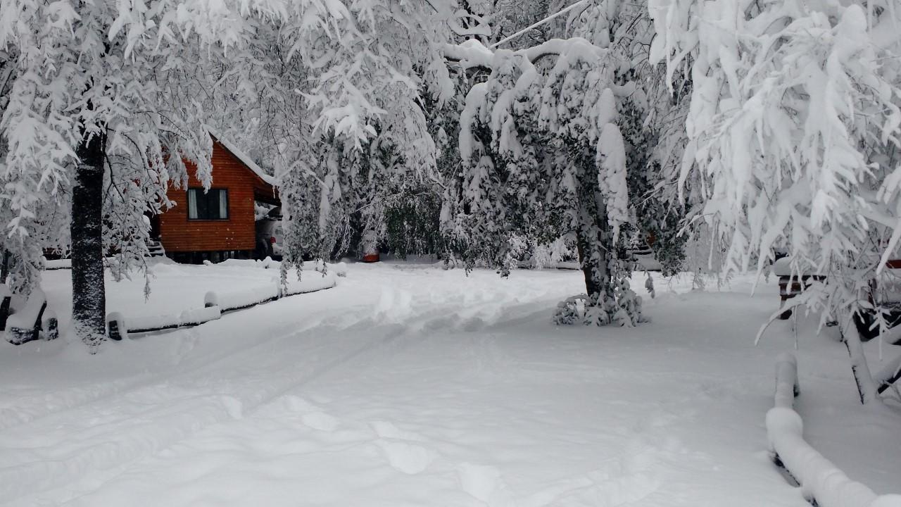 Cabanas Bafemadi Las Trancas Exteriör bild
